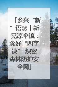 乡兴“新”语②丨新晃凉伞镇：念好“四字诀” 织密森林防护安全网